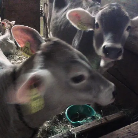 Sohlerhof Eichenberg