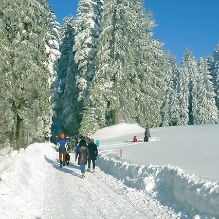 Sohlerhof 아파트 *