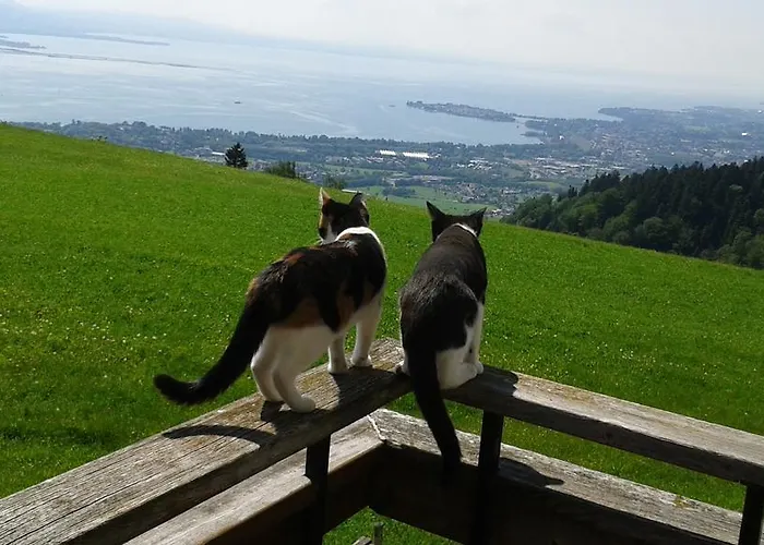 Sohlerhof Apartment *