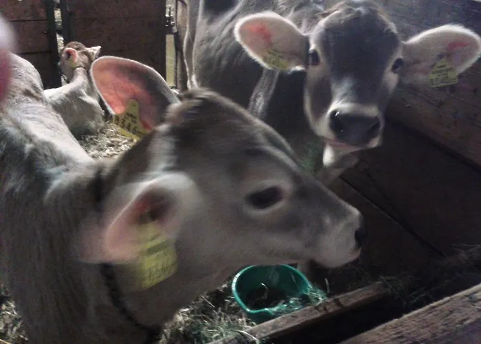 Sohlerhof Eichenberg