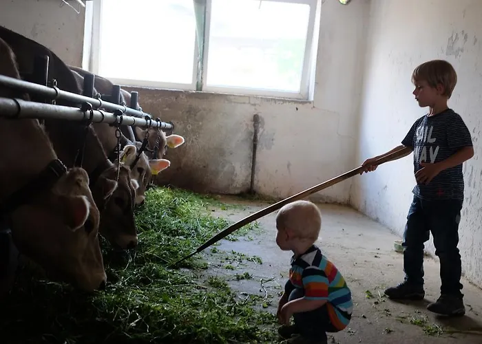 Sohlerhof Apartment Eichenberg