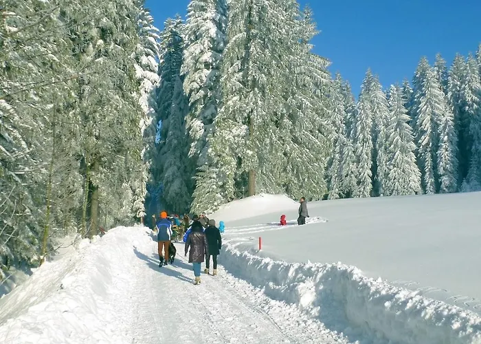 Sohlerhof Lägenhet *